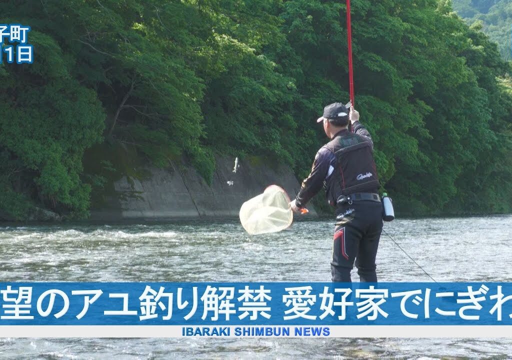 待望のアユ釣り解禁　愛好家でにぎわう　久慈川