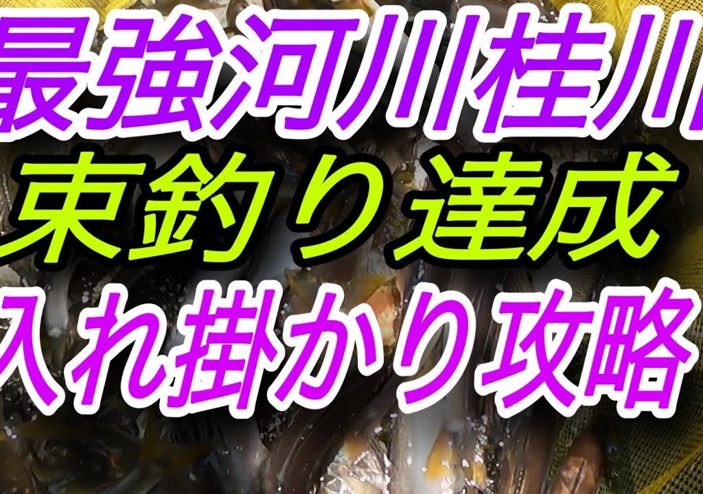 最強河川　山梨県桂川 束釣り攻略