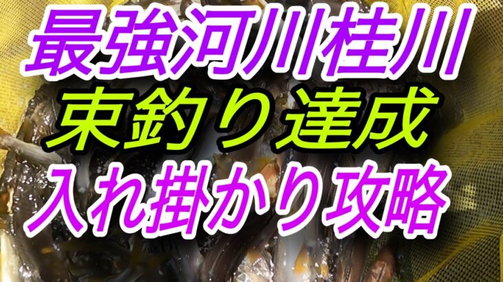 最強河川　山梨県桂川 束釣り攻略
