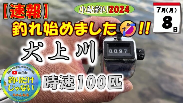 「犬上川、釣れるようになりました！」待望の犬上川爆釣！犬上川ファンのみなさま、おめでとうございます。行くならいま！爆釣・時速100匹。日中行けばもっと釣れるはず！サイズも大きく、広範囲で釣れてます。