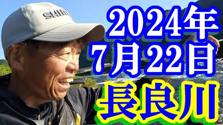 鮎釣り 10cm高引水 藤の森大橋上下 和合橋上 長良川郡上 2024年