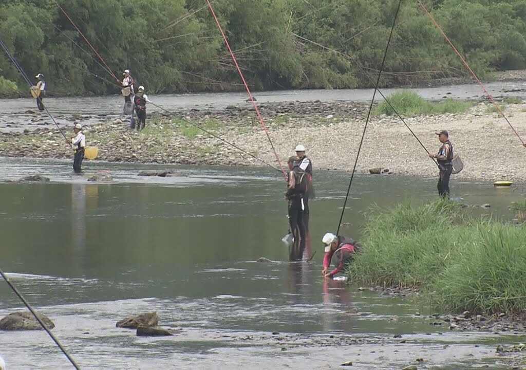 130人が釣果を競う　清流で鮎の友釣り大会開催