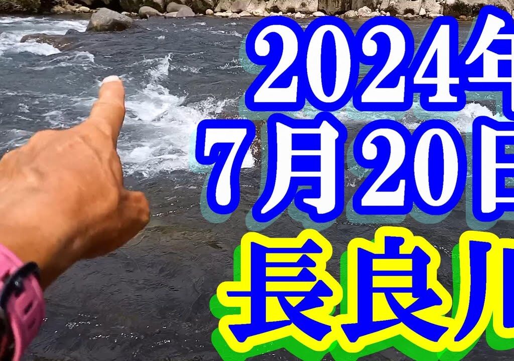 鮎釣り 15cm高引水 歩岐島橋上下 長良川郡上 2024年