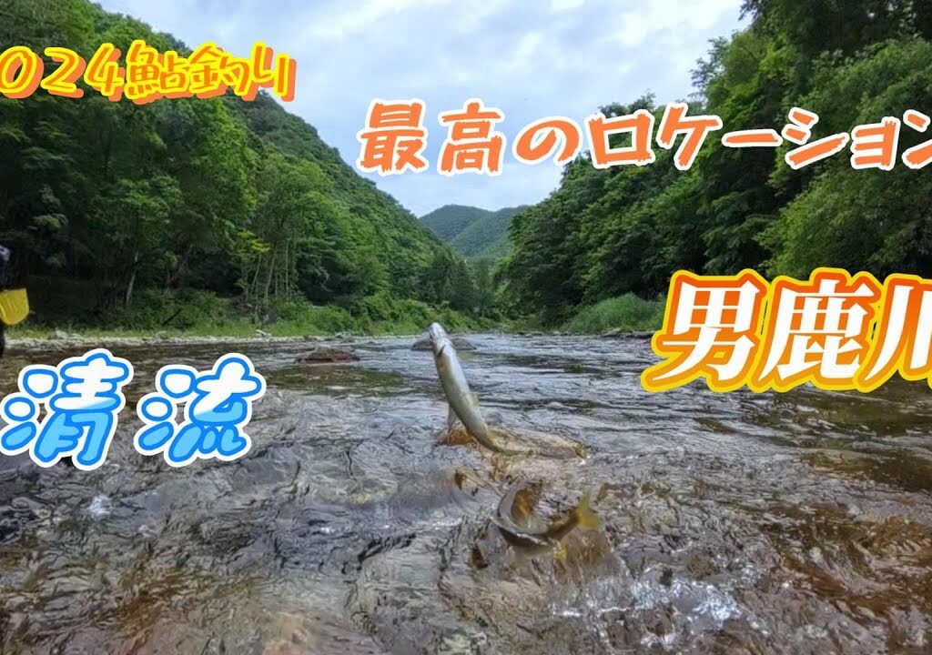【鮎釣り2024】最高のロケーション 清流 男鹿川