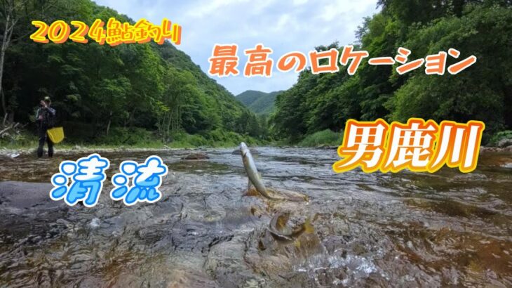 【鮎釣り2024】最高のロケーション 清流 男鹿川