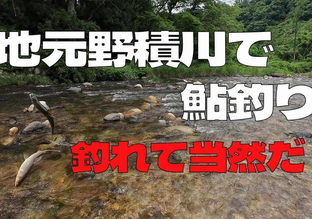 2024 【地元野積川で鮎釣り】釣れて当然だ！