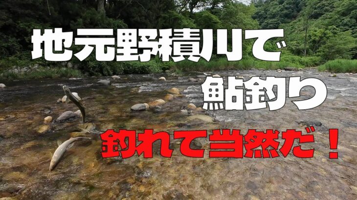 2024 【地元野積川で鮎釣り】釣れて当然だ！