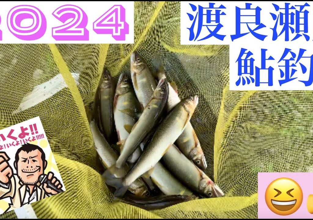 2024 渡良瀬川　鮎釣り