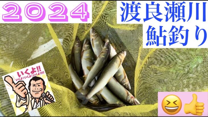 2024 渡良瀬川　鮎釣り