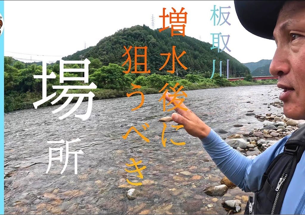 【鮎釣り2024】増水後に狙うべき場所！長良川水系板取川