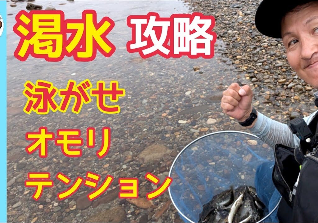 【鮎釣り2024】渇水時の攻略！泳がせ、オモリ、テンションコントロール