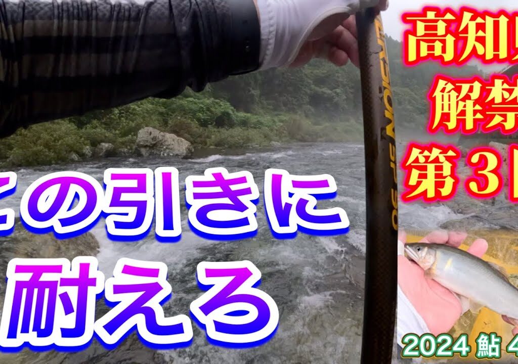 2024 鮎 4　高知県解禁第３陣　この引きに耐えろ！