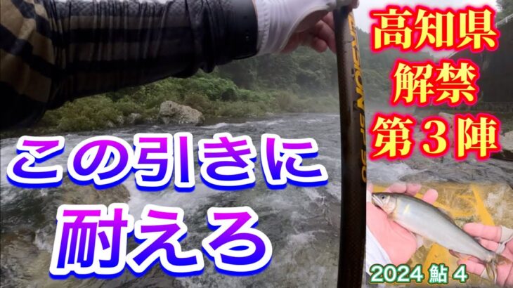 2024 鮎 4　高知県解禁第３陣　この引きに耐えろ！