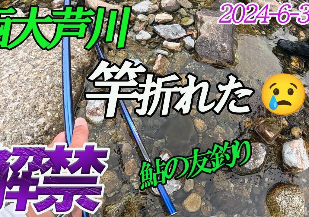【西大芦川解禁】鮎の友釣り2024- 6- 30鮎竿が折れました。
