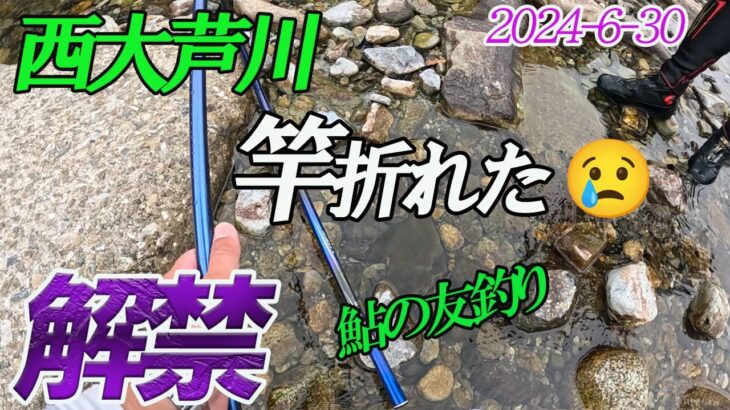 【西大芦川解禁】鮎の友釣り2024- 6- 30鮎竿が折れました。