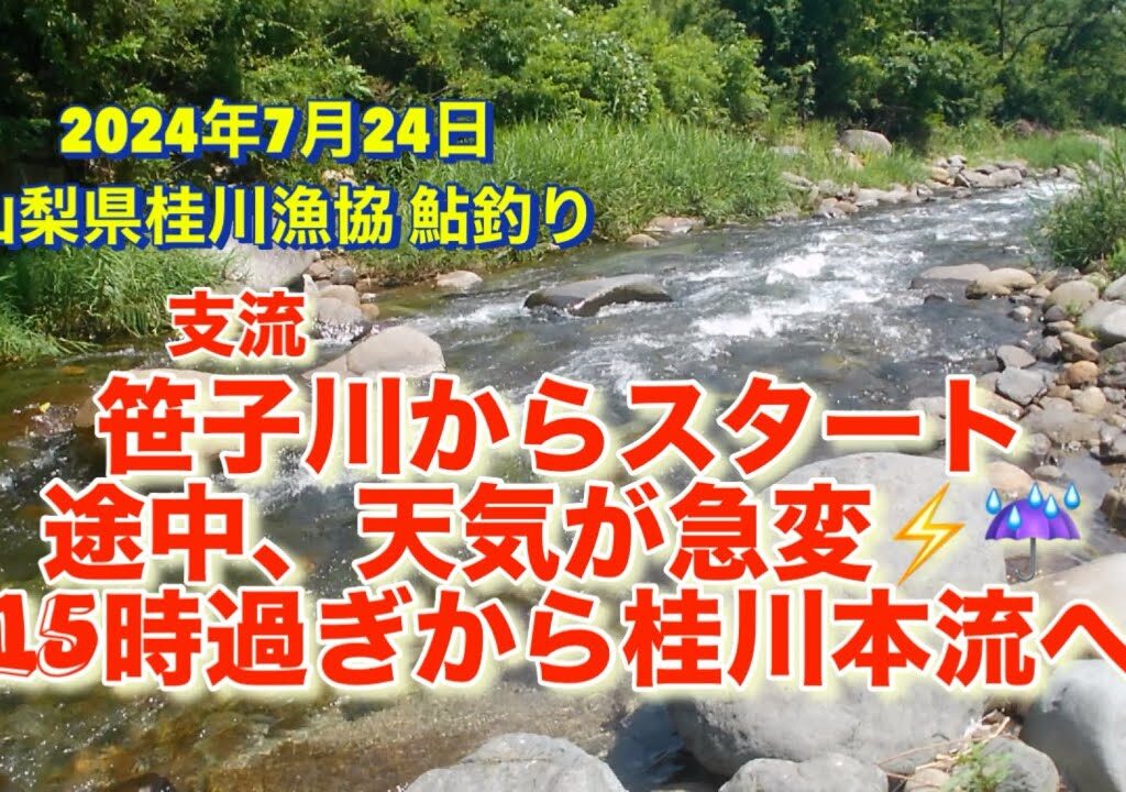 山梨県桂川漁協 支流笹子川のち桂川本流 鮎釣り 2024年 7月24日 スタートから2時間で天気が急変⚡️☔️ めげずに頑張りました😅