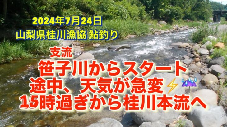 山梨県桂川漁協 支流笹子川のち桂川本流 鮎釣り 2024年 7月24日 スタートから2時間で天気が急変⚡️☔️ めげずに頑張りました😅