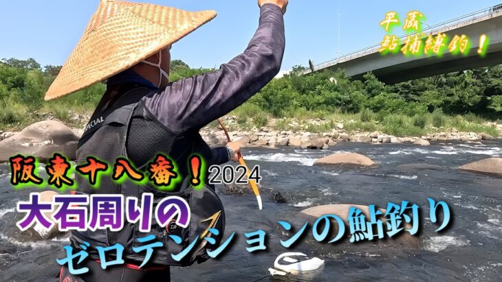 【利根川の鮎】阪東地区2024の鮎を占うと⁉️「釣れるか否か坂東太郎の鮎釣り！」大石周りの(ゼロオバセ)とは？”平蔵鮎捕縛釣！”