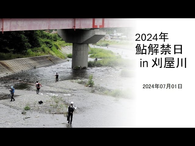 2024年 鮎解禁日 in 刈屋川
