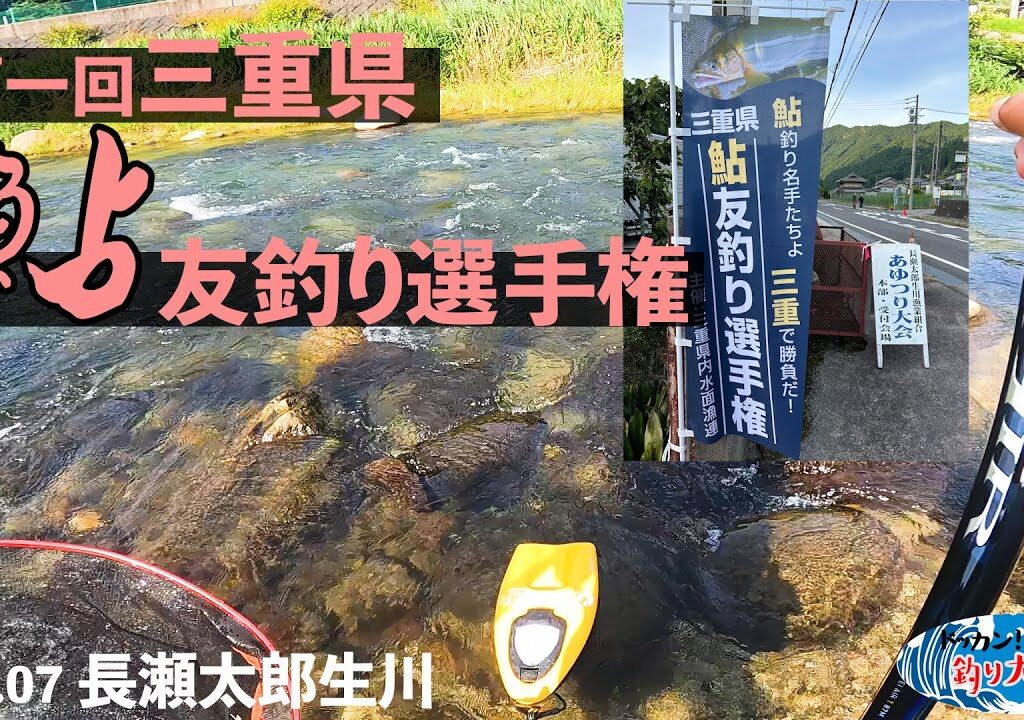【鮎釣り】第一回三重県鮎友釣り選手権に参加！【2024.07 長瀬太郎生川】