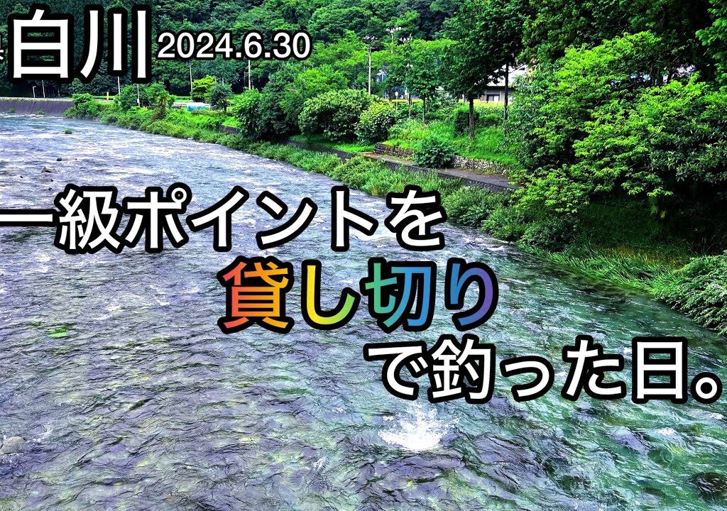 【鮎釣り】白川（岐阜県）｜2024.6.30（日）【友釣り】