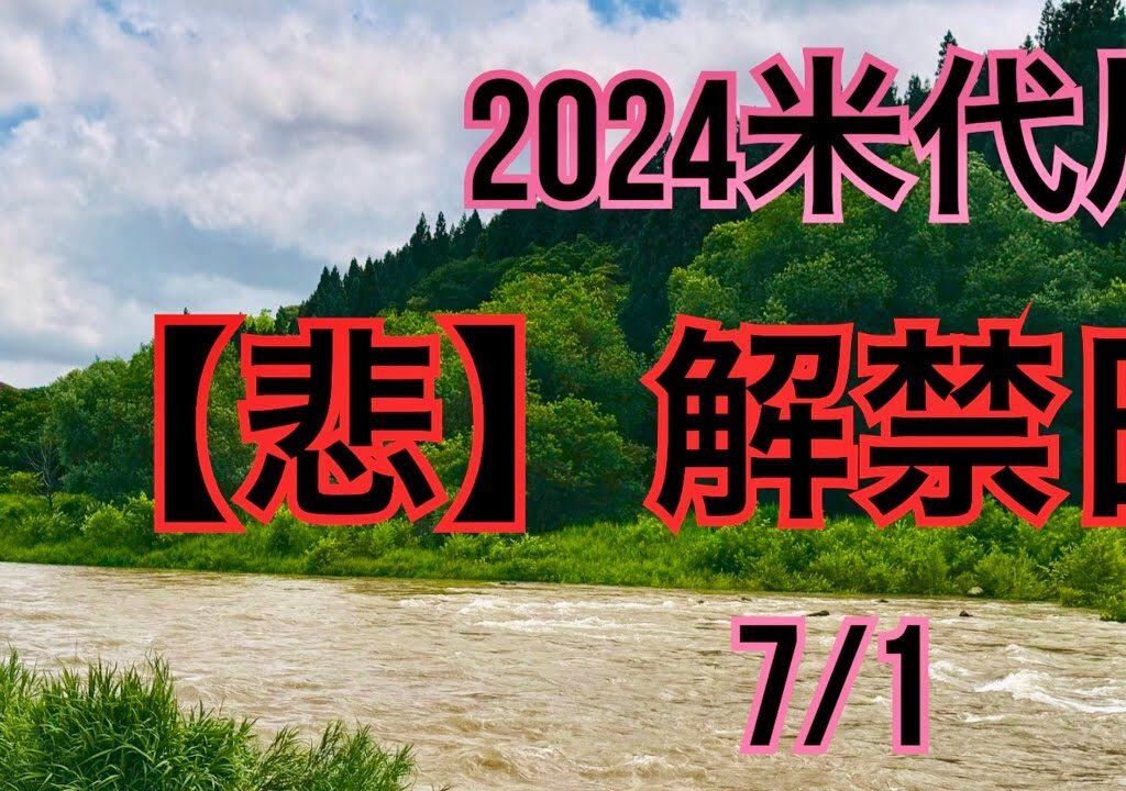 米代川で鮎釣り 2024.7.1-大雨後の解禁日の様子-