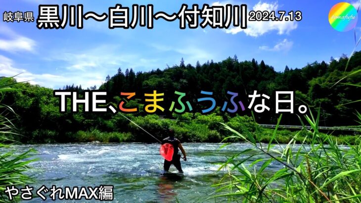 【鮎釣り】黒川、白川、付知川（岐阜県）｜2024.7.13（土）【友釣り】