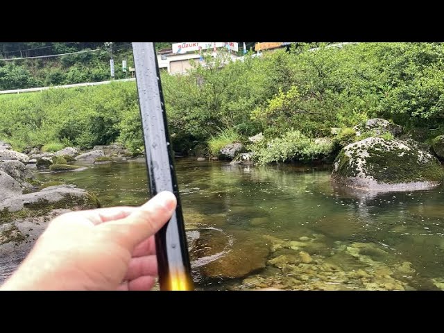 【鮎釣り】2024.7.15 大又川でHeart is broken💥
