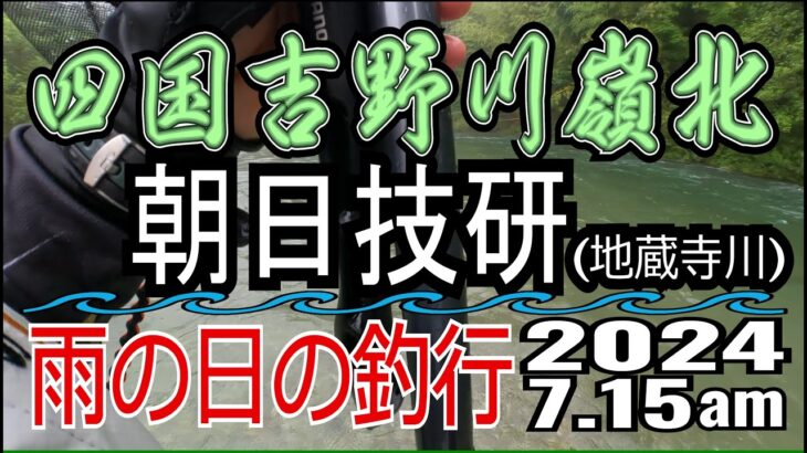 アユの友釣り 四国吉野川(高知県) 地蔵寺川 2024.7.15am