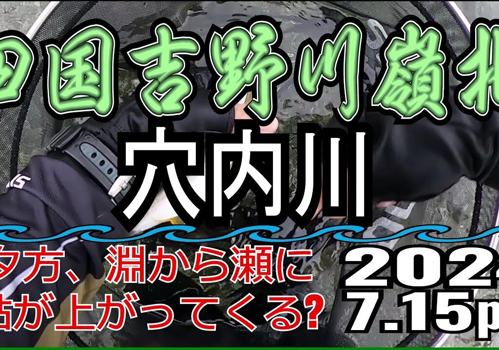 アユの友釣り 四国吉野川(高知県) 穴内川 2024.7.15pm