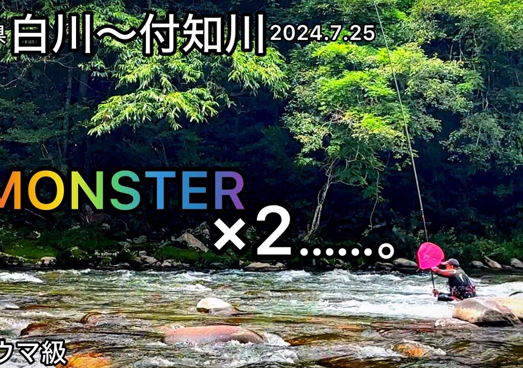 【鮎釣り】白川、付知川（岐阜県）｜2024.7.25（木）【友釣り】