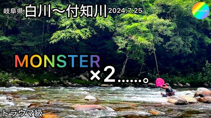 【鮎釣り】白川、付知川（岐阜県）｜2024.7.25（木）【友釣り】