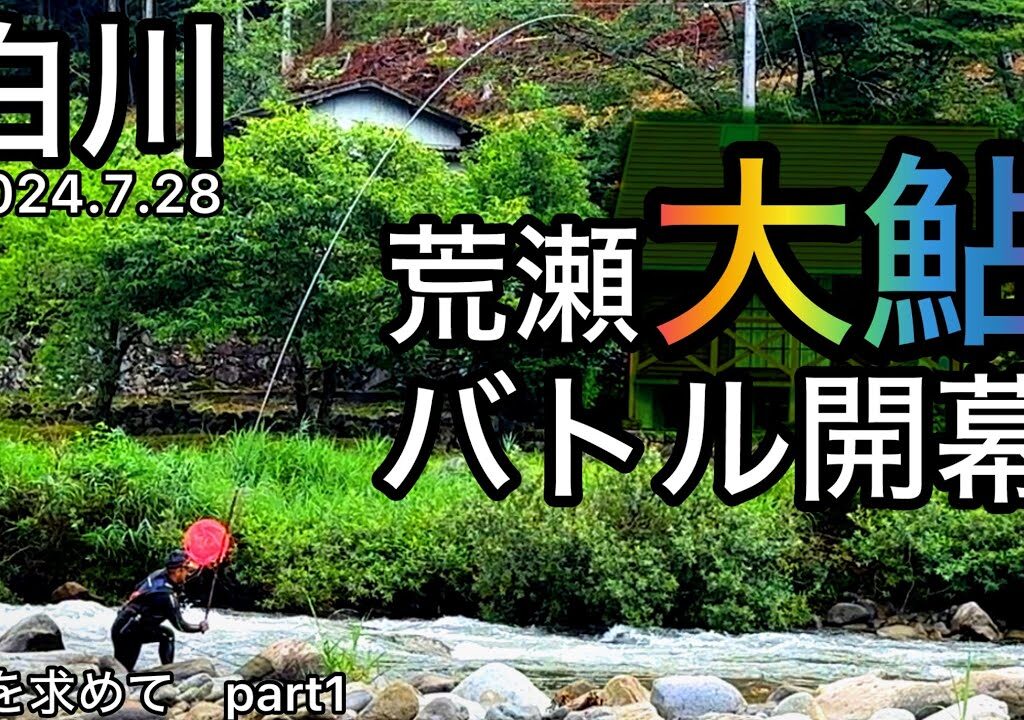 【鮎釣り】白川（岐阜県）｜2024.7.28（日）【友釣り】