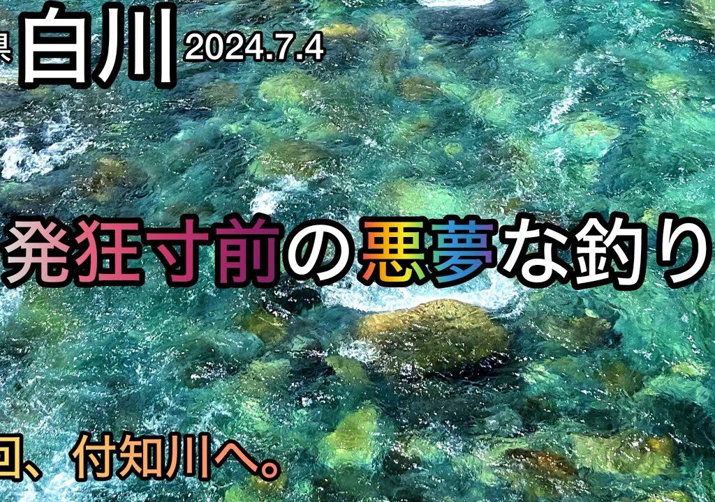 【鮎釣り】白川（岐阜県）｜2024.7.4（木）【友釣り】