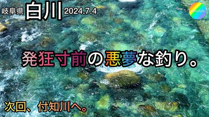 【鮎釣り】白川（岐阜県）｜2024.7.4（木）【友釣り】