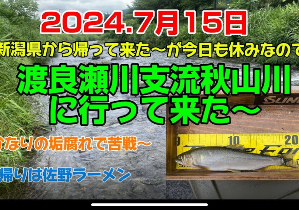 2024.7月15日、富山は雨☂️で断念〜渡良瀬川支流秋山川で暇つぶし‼️  #釣り#鮎釣り#鮎#サンテック #サンライン#サンラインフィールドテスター #capcut#栃木県#pr