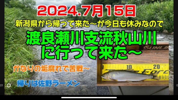 2024.7月15日、富山は雨☂️で断念〜渡良瀬川支流秋山川で暇つぶし‼️  #釣り#鮎釣り#鮎#サンテック #サンライン#サンラインフィールドテスター #capcut#栃木県#pr