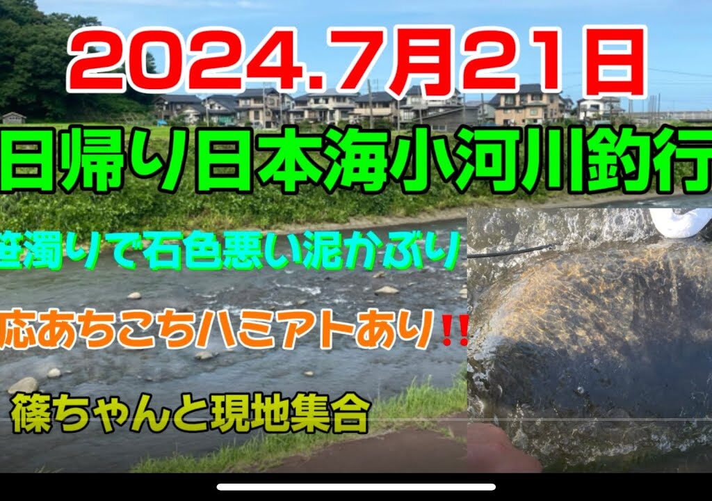 2024.7月21日.日帰り、日本海小河川調査釣行〜　#釣り#鮎釣り#鮎#サンテック #サンラインフィールドテスター#capcut #pr