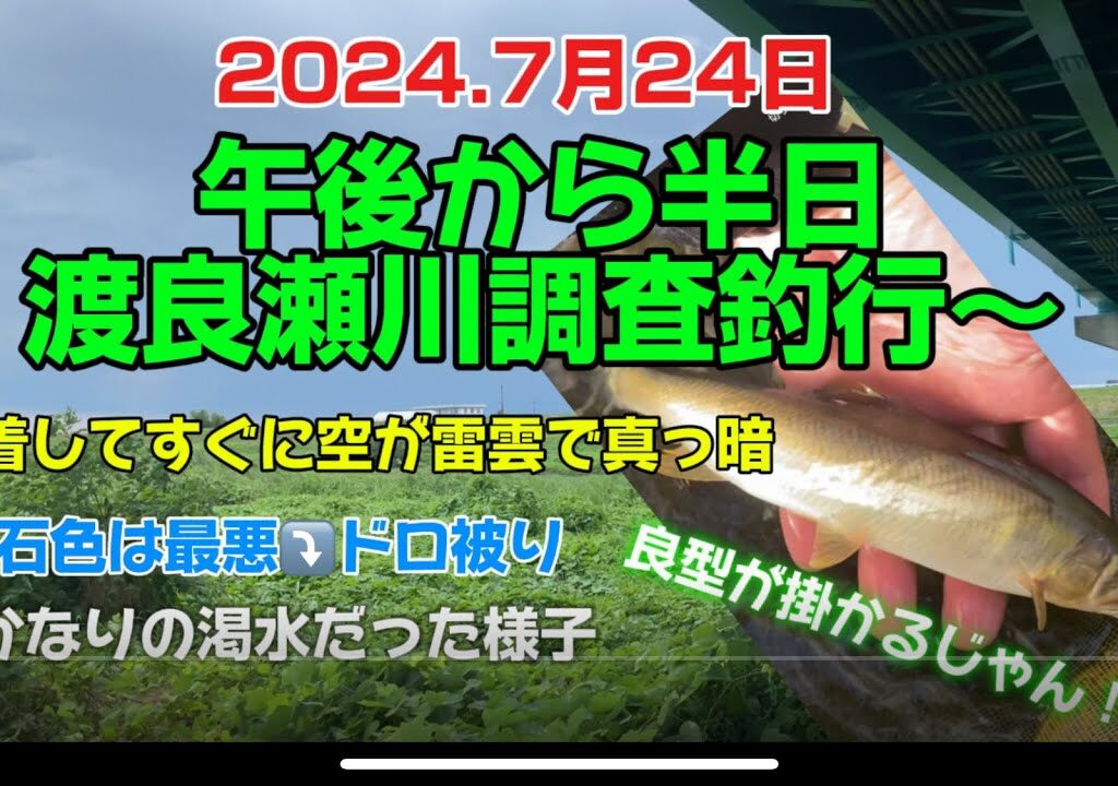 2024.7月24日.半日❗️渡良瀬川調査釣行〜　#釣り#鮎釣り#鮎#サンテック #サンライン#サンラインフィールドテスター #capcut#pr #栃木県