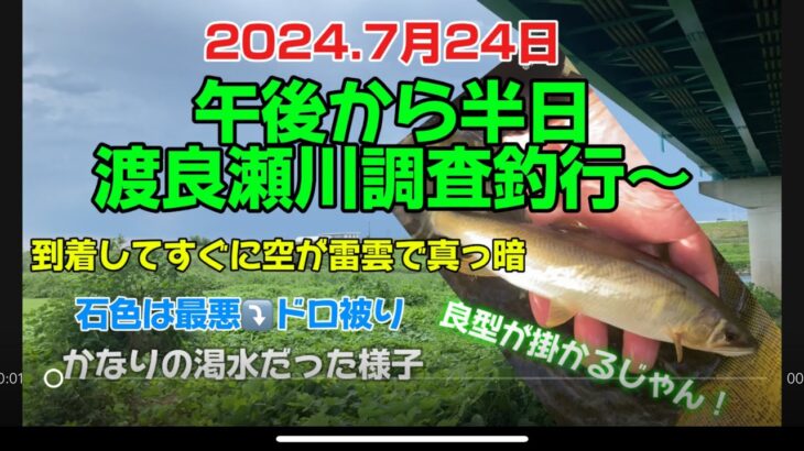 2024.7月24日.半日❗️渡良瀬川調査釣行〜　#釣り#鮎釣り#鮎#サンテック #サンライン#サンラインフィールドテスター #capcut#pr #栃木県