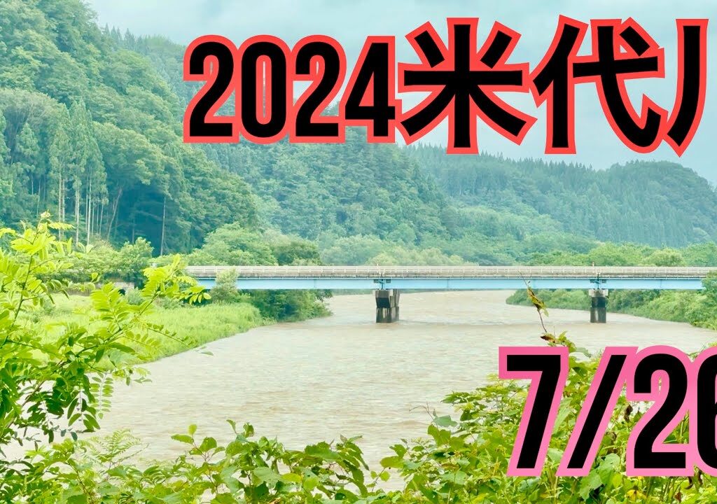 米代川で鮎釣り 2024.7/26 大雨後の鹿角地区