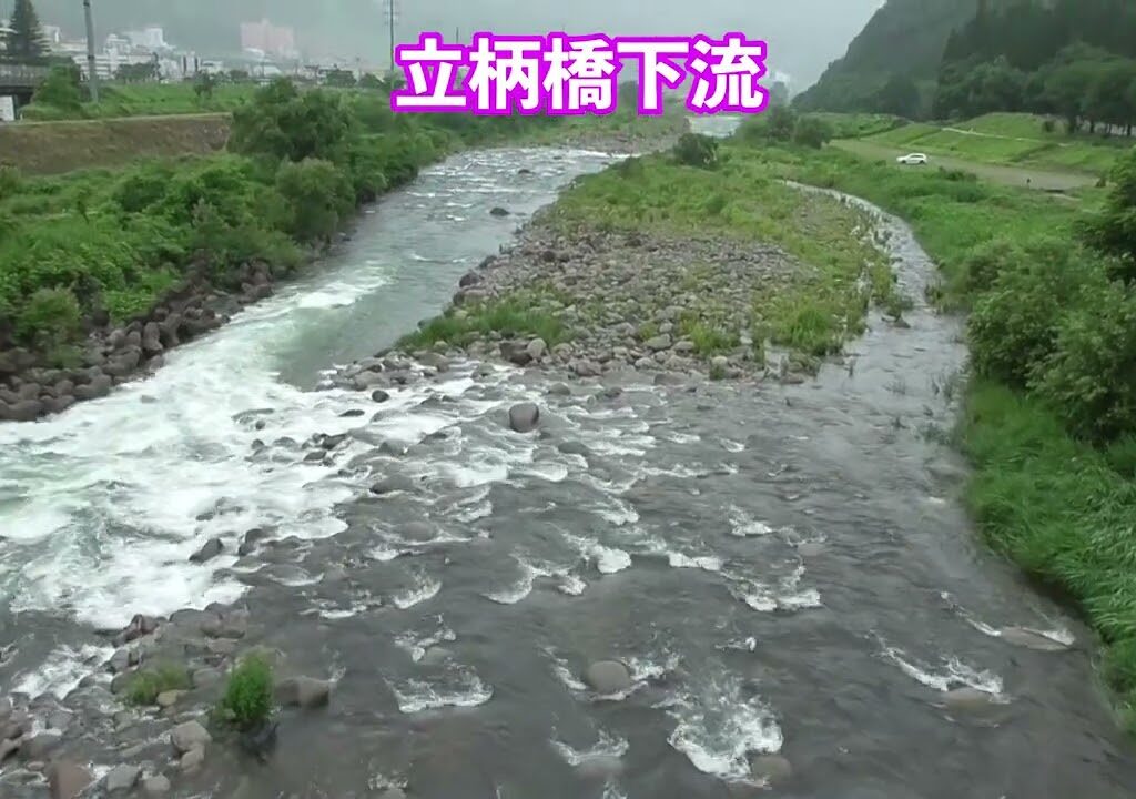 2024/07/16 9：00 雨 湯沢町 魚野川鮎釣り おとり鮎 花水木