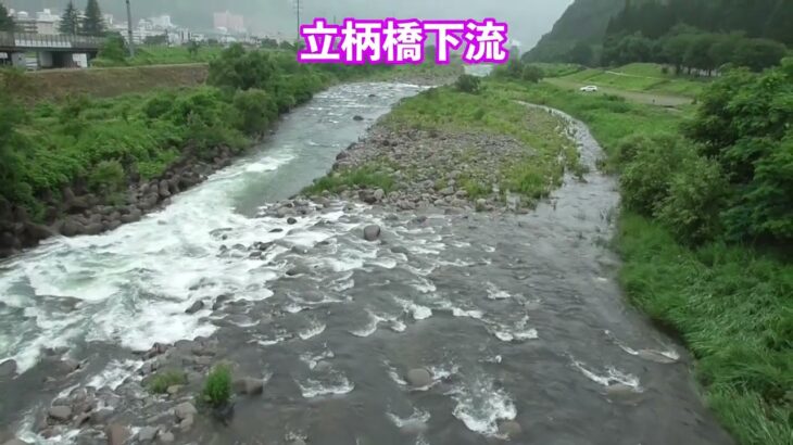 2024/07/16 9：00 雨 湯沢町 魚野川鮎釣り おとり鮎 花水木