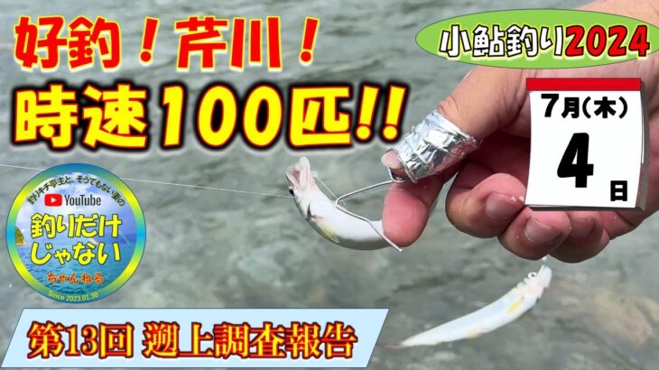 【小鮎釣り2024・第13回調査】7月4日（木）、増水した翌日、川の状況はどの程度回復するのか？！回復どころか爆釣。芹川時速100匹、それに対して犬上川は・・・。芹川・犬上川・宇曽川の湖東三川。