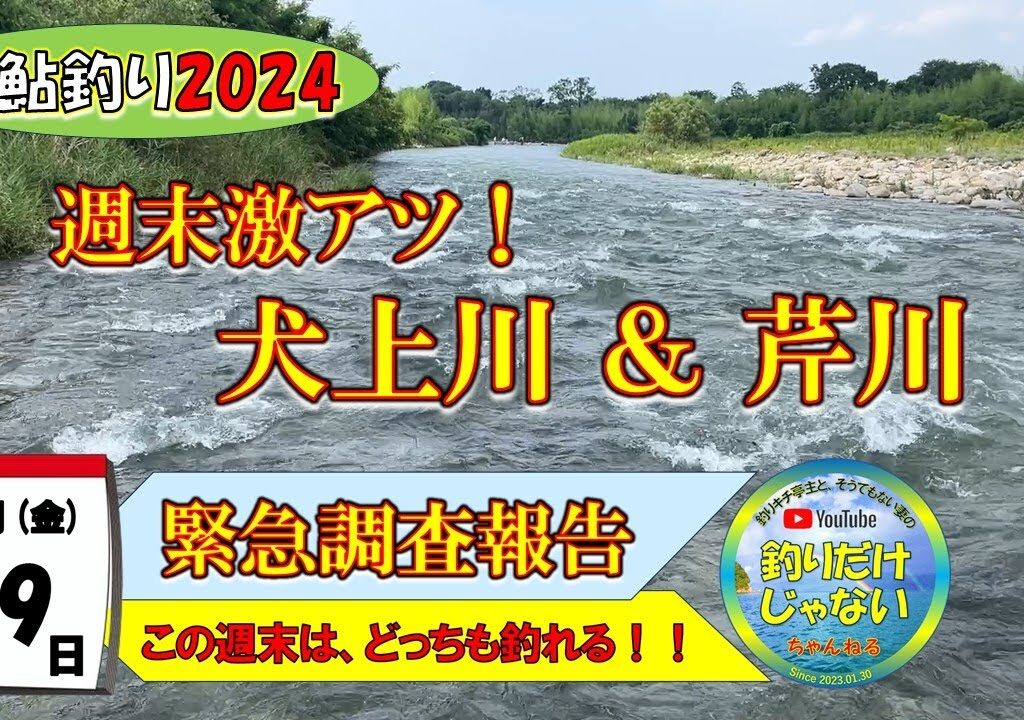 緊急調査！！【小鮎釣り2024】７月19日（金）、この週末、滋賀に小鮎釣りに来られる方々へ。この週末、犬上川も芹川も激アツです。今週来ないで、いつ来るの？今でしょ！ぜひ、滋賀・湖東にお越しください！