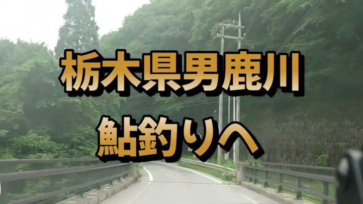 2024年7月栃木県男鹿川の鮎釣り