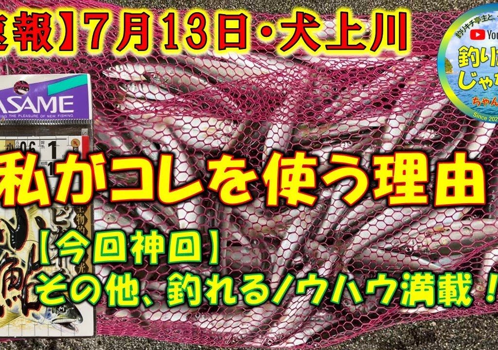 【小鮎釣り2024・速報】7月13日、激アツの犬上川でガチ釣り！「時速50匹」。サイズ良し！SASAME「ミックスパール」、私がこの仕掛けを使う理由。そのほかにも、釣れるノウハウを満載。徹底解説。