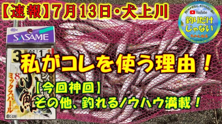 【小鮎釣り2024・速報】7月13日、激アツの犬上川でガチ釣り！「時速50匹」。サイズ良し！SASAME「ミックスパール」、私がこの仕掛けを使う理由。そのほかにも、釣れるノウハウを満載。徹底解説。