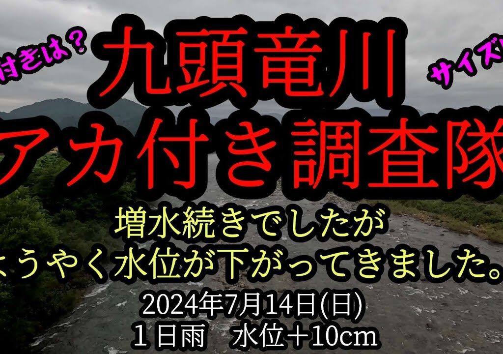 九頭竜川アカ付き調査隊「勝山編」2024年7月14日(日)