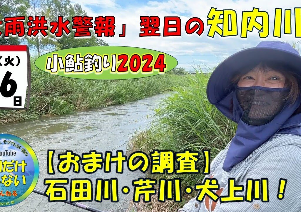 【小鮎釣り2024】7月16日、人生初の「知内川」釣行。大雨洪水警報発令の翌日、果たして釣りは出来るのか？！釣れるペースが上がらないとき、試してみる激アツ対策とは・・・。オマケの調査芹川と犬上川